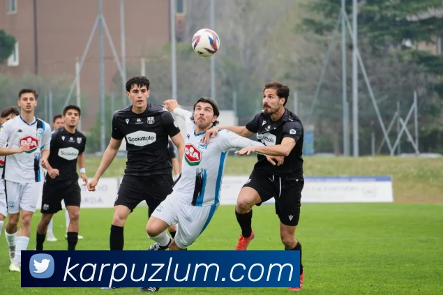 奖项证书