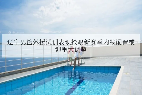 辽宁男篮外援试训表现抢眼新赛季内线配置或迎重大调整